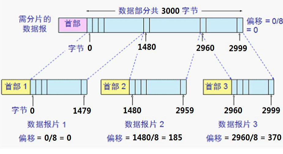 IP协议介绍插图1